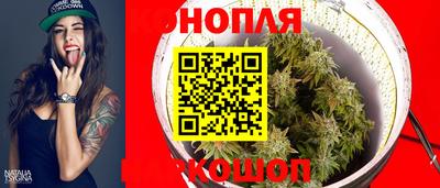прущие грибы Уссурийск