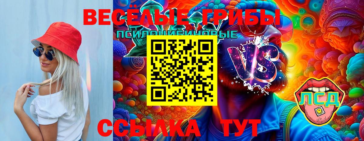 Заринск  продажа наркотиков  Вход с VPN  Галлюциногенные грибы Magic Shrooms 